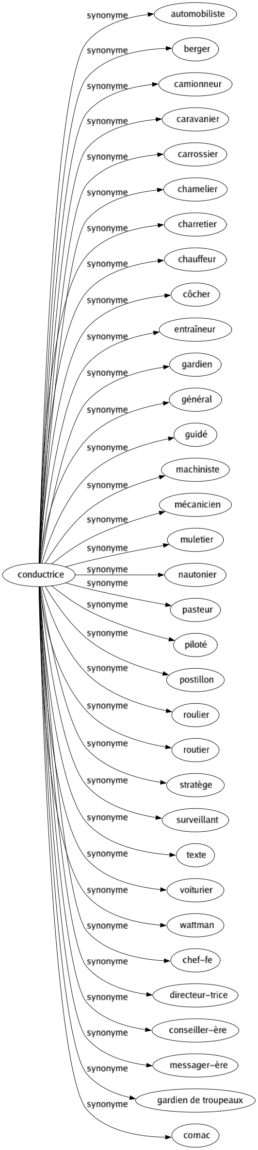 Synonyme de Conductrice : Automobiliste Berger Camionneur Caravanier Carrossier Chamelier Charretier Chauffeur Côcher Entraîneur Gardien Général Guidé Machiniste Mécanicien Muletier Nautonier Pasteur Piloté Postillon Roulier Routier Stratège Surveillant Texte Voiturier Wattman Chef-fe Directeur-trice Conseiller-ère Messager-ère Gardien de troupeaux Cornac 
