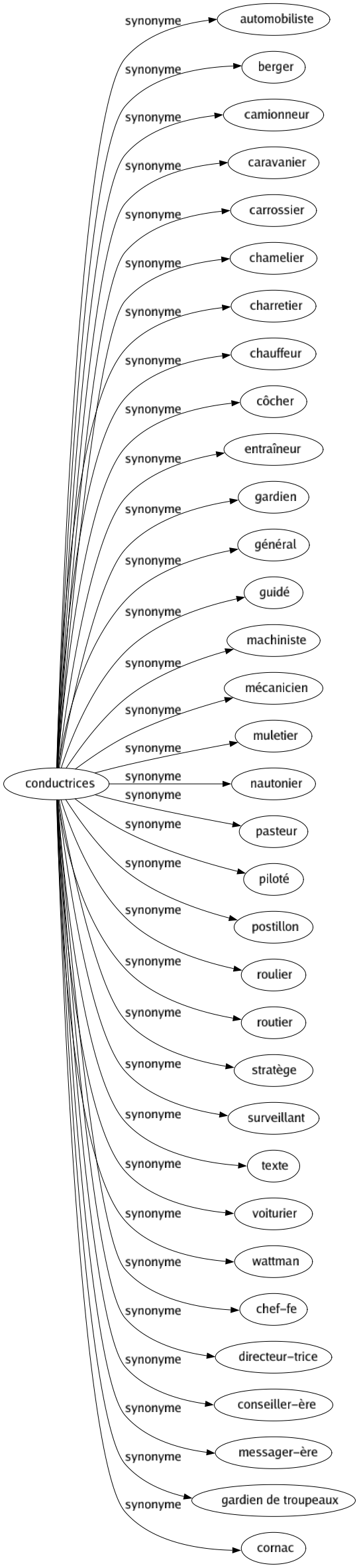 Synonyme de Conductrices : Automobiliste Berger Camionneur Caravanier Carrossier Chamelier Charretier Chauffeur Côcher Entraîneur Gardien Général Guidé Machiniste Mécanicien Muletier Nautonier Pasteur Piloté Postillon Roulier Routier Stratège Surveillant Texte Voiturier Wattman Chef-fe Directeur-trice Conseiller-ère Messager-ère Gardien de troupeaux Cornac 