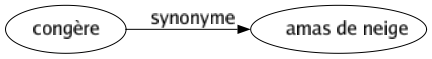 Synonyme de Congère : Amas de neige 