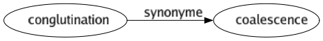 Synonyme de Conglutination : Coalescence 