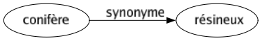 Synonyme de Conifère : Résineux 