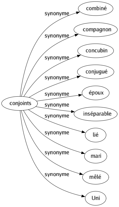 Synonyme de Conjoints : Combiné Compagnon Concubin Conjugué Époux Inséparable Lié Mari Mêlé Uni 