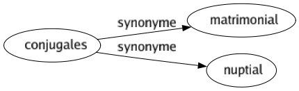 Synonyme de Conjugales : Matrimonial Nuptial 