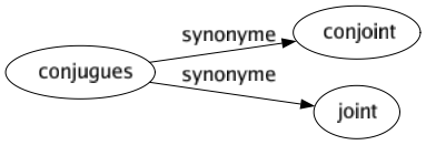 Synonyme de Conjugues : Conjoint Joint 