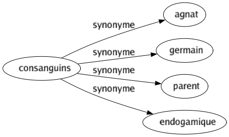 Synonyme de Consanguins : Agnat Germain Parent Endogamique 