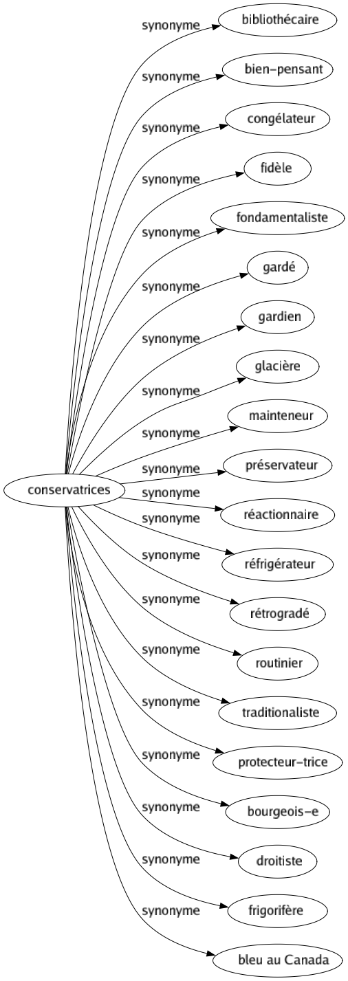 Synonyme de Conservatrices : Bibliothécaire Bien-pensant Congélateur Fidèle Fondamentaliste Gardé Gardien Glacière Mainteneur Préservateur Réactionnaire Réfrigérateur Rétrogradé Routinier Traditionaliste Protecteur-trice Bourgeois-e Droitiste Frigorifère Bleu au canada 