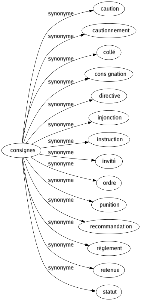 Synonyme de Consignes : Caution Cautionnement Collé Consignation Directive Injonction Instruction Invité Ordre Punition Recommandation Règlement Retenue Statut 