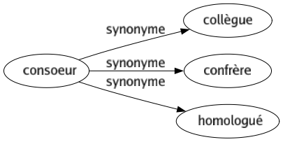 Synonyme de Consoeur : Collègue Confrère Homologué 