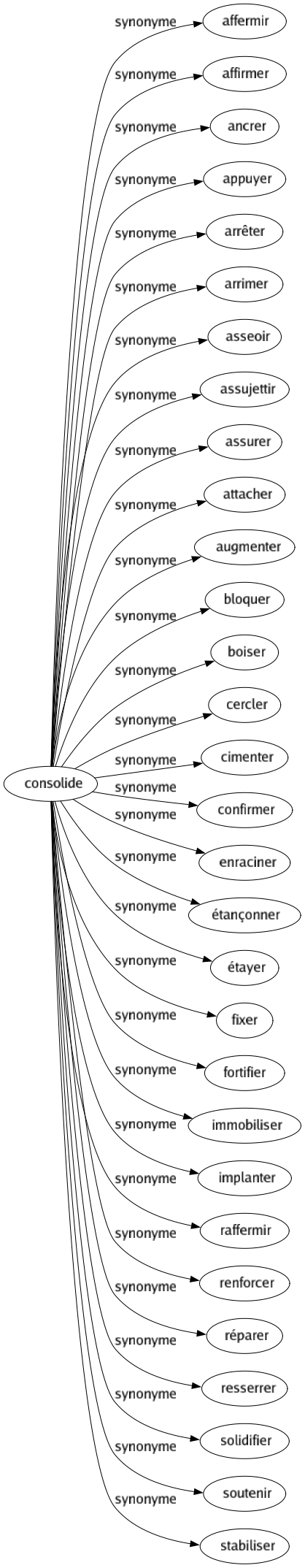 Synonyme de Consolide : Affermir Affirmer Ancrer Appuyer Arrêter Arrimer Asseoir Assujettir Assurer Attacher Augmenter Bloquer Boiser Cercler Cimenter Confirmer Enraciner Étançonner Étayer Fixer Fortifier Immobiliser Implanter Raffermir Renforcer Réparer Resserrer Solidifier Soutenir Stabiliser 