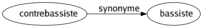 Synonyme de Contrebassiste : Bassiste 