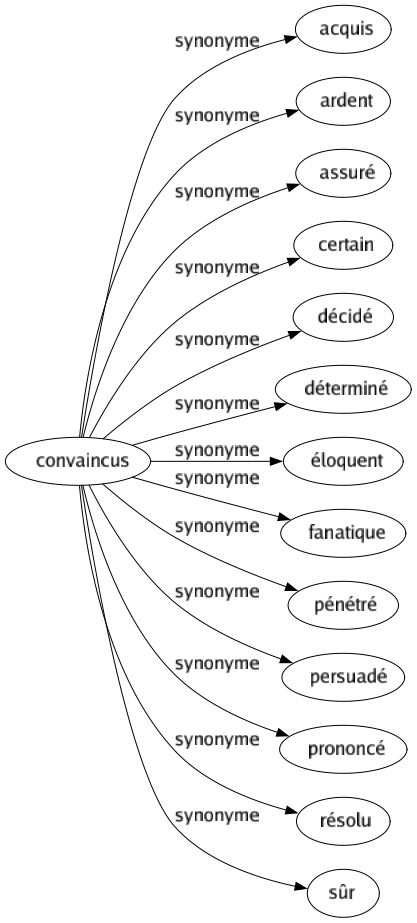 Synonyme de Convaincus : Acquis Ardent Assuré Certain Décidé Déterminé Éloquent Fanatique Pénétré Persuadé Prononcé Résolu Sûr 