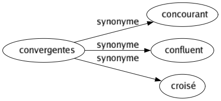 Synonyme de Convergentes : Concourant Confluent Croisé 