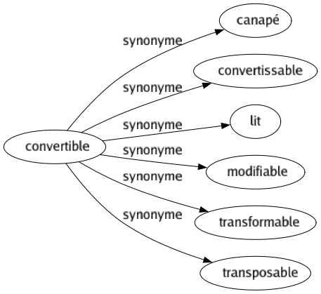 Synonyme de Convertible : Canapé Convertissable Lit Modifiable Transformable Transposable 