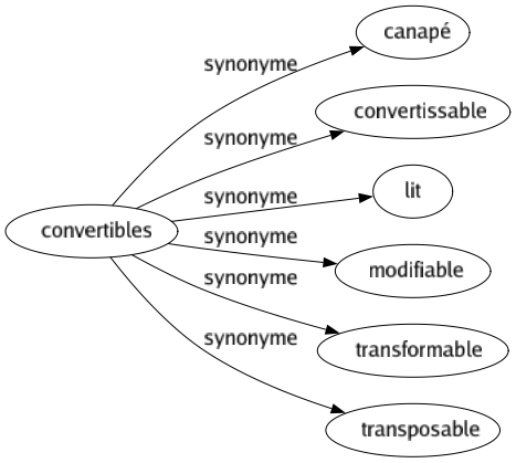 Synonyme de Convertibles : Canapé Convertissable Lit Modifiable Transformable Transposable 