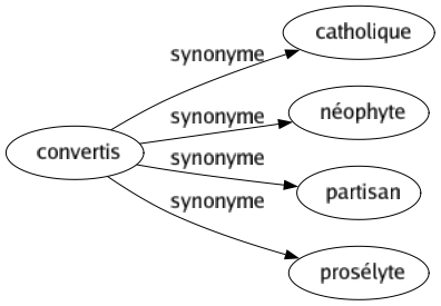 Synonyme de Convertis : Catholique Néophyte Partisan Prosélyte 
