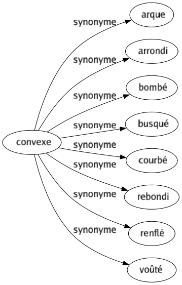 Synonyme de Convexe : Arque Arrondi Bombé Busqué Courbé Rebondi Renflé Voûté 