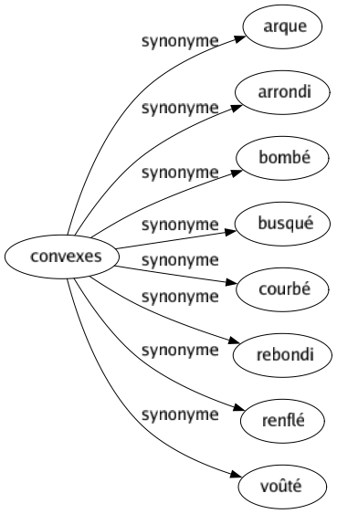 Synonyme de Convexes : Arque Arrondi Bombé Busqué Courbé Rebondi Renflé Voûté 