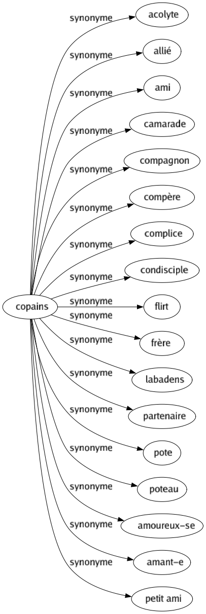 Synonyme de Copains : Acolyte Allié Ami Camarade Compagnon Compère Complice Condisciple Flirt Frère Labadens Partenaire Pote Poteau Amoureux-se Amant-e Petit ami 