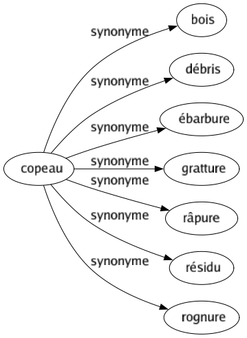 Synonyme de Copeau : Bois Débris Ébarbure Gratture Râpure Résidu Rognure 