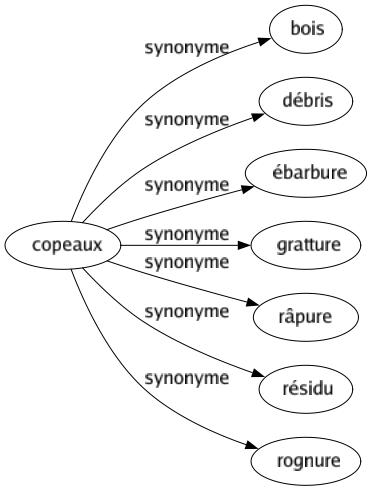 Synonyme de Copeaux : Bois Débris Ébarbure Gratture Râpure Résidu Rognure 