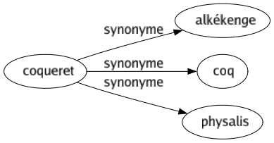 Synonyme de Coqueret : Alkékenge Coq Physalis 