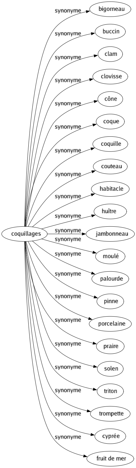 Synonyme de Coquillages : Bigorneau Buccin Clam Clovisse Cône Coque Coquille Couteau Habitacle Huître Jambonneau Moulé Palourde Pinne Porcelaine Praire Solen Triton Trompette Cyprée Fruit de mer 