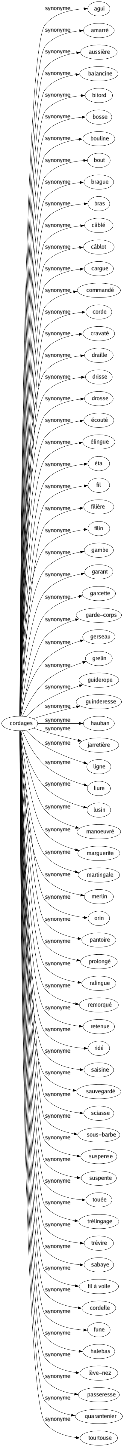 Synonyme de Cordages : Agui Amarré Aussière Balancine Bitord Bosse Bouline Bout Brague Bras Câblé Câblot Cargue Commandé Corde Cravaté Draille Drisse Drosse Écouté Élingue Étai Fil Filière Filin Gambe Garant Garcette Garde-corps Gerseau Grelin Guiderope Guinderesse Hauban Jarretière Ligne Liure Lusin Manoeuvré Marguerite Martingale Merlin Orin Pantoire Prolongé Ralingue Remorqué Retenue Ridé Saisine Sauvegardé Sciasse Sous-barbe Suspense Suspente Touée Trélingage Trévire Sabaye Fil à voile Cordelle Fune Halebas Lève-nez Passeresse Quarantenier Tourtouse 