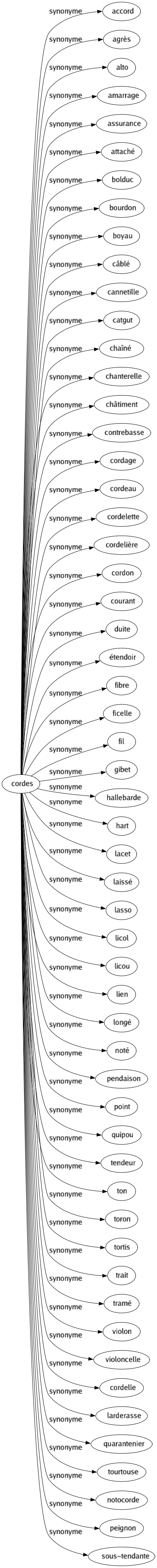 Synonyme de Cordes : Accord Agrès Alto Amarrage Assurance Attaché Bolduc Bourdon Boyau Câblé Cannetille Catgut Chaîné Chanterelle Châtiment Contrebasse Cordage Cordeau Cordelette Cordelière Cordon Courant Duite Étendoir Fibre Ficelle Fil Gibet Hallebarde Hart Lacet Laissé Lasso Licol Licou Lien Longé Noté Pendaison Point Quipou Tendeur Ton Toron Tortis Trait Tramé Violon Violoncelle Cordelle Larderasse Quarantenier Tourtouse Notocorde Peignon Sous-tendante 