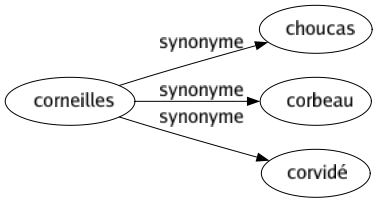 Synonyme de Corneilles : Choucas Corbeau Corvidé 