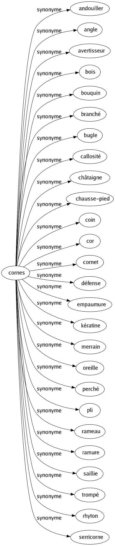 Synonyme de Cornes : Andouiller Angle Avertisseur Bois Bouquin Branché Bugle Callosité Châtaigne Chausse-pied Coin Cor Cornet Défense Empaumure Kératine Merrain Oreille Perché Pli Rameau Ramure Saillie Trompé Rhyton Serricorne 