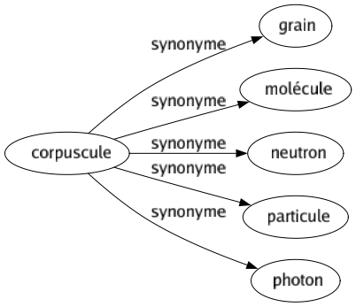 Synonyme de Corpuscule : Grain Molécule Neutron Particule Photon 