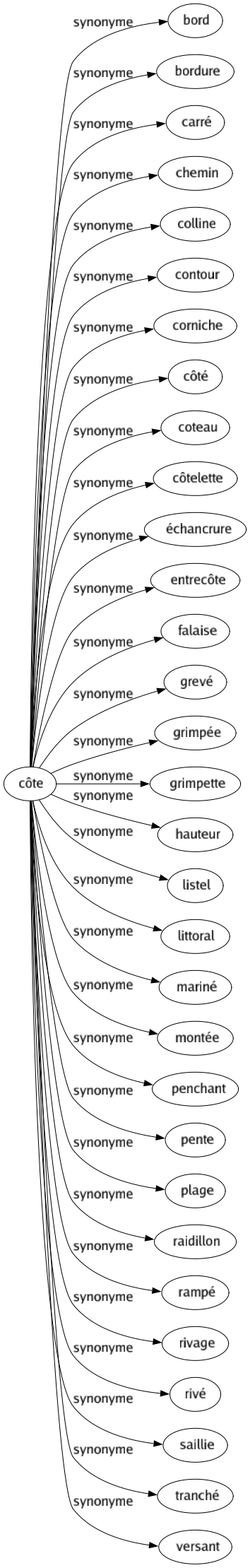 Synonyme de Côte : Bord Bordure Carré Chemin Colline Contour Corniche Côté Coteau Côtelette Échancrure Entrecôte Falaise Grevé Grimpée Grimpette Hauteur Listel Littoral Mariné Montée Penchant Pente Plage Raidillon Rampé Rivage Rivé Saillie Tranché Versant 