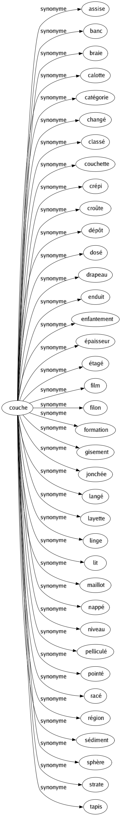 Synonyme de Couche : Assise Banc Braie Calotte Catégorie Changé Classé Couchette Crépi Croûte Dépôt Dosé Drapeau Enduit Enfantement Épaisseur Étagé Film Filon Formation Gisement Jonchée Langé Layette Linge Lit Maillot Nappé Niveau Pelliculé Pointé Racé Région Sédiment Sphère Strate Tapis 