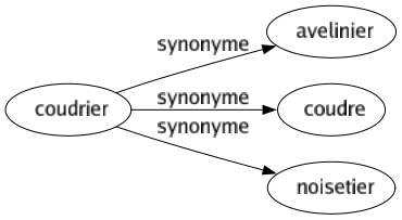 Synonyme de Coudrier : Avelinier Coudre Noisetier 