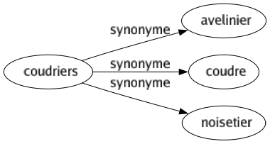 Synonyme de Coudriers : Avelinier Coudre Noisetier 