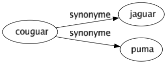 Synonyme de Couguar : Jaguar Puma 