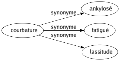 Synonyme de Courbature : Ankylosé Fatigué Lassitude 