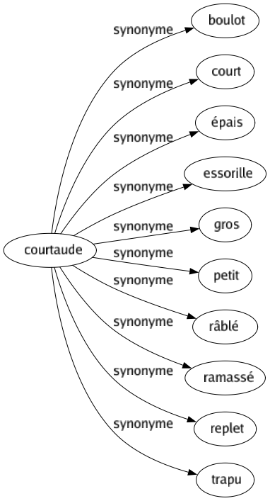 Synonyme de Courtaude : Boulot Court Épais Essorille Gros Petit Râblé Ramassé Replet Trapu 