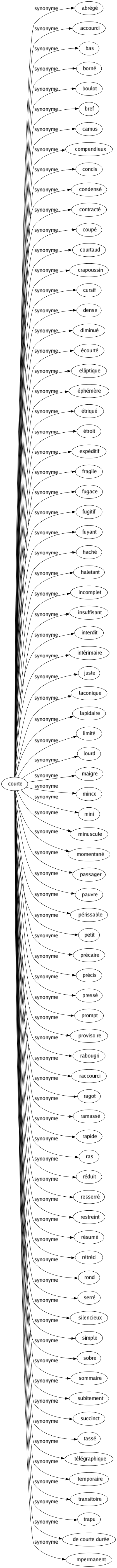 Synonyme de Courte : Abrégé Accourci Bas Borné Boulot Bref Camus Compendieux Concis Condensé Contracté Coupé Courtaud Crapoussin Cursif Dense Diminué Écourté Elliptique Éphémère Étriqué Étroit Expéditif Fragile Fugace Fugitif Fuyant Haché Haletant Incomplet Insuffisant Interdit Intérimaire Juste Laconique Lapidaire Limité Lourd Maigre Mince Mini Minuscule Momentané Passager Pauvre Périssable Petit Précaire Précis Pressé Prompt Provisoire Rabougri Raccourci Ragot Ramassé Rapide Ras Réduit Resserré Restreint Résumé Rétréci Rond Serré Silencieux Simple Sobre Sommaire Subitement Succinct Tassé Télégraphique Temporaire Transitoire Trapu De courte durée Impermanent 