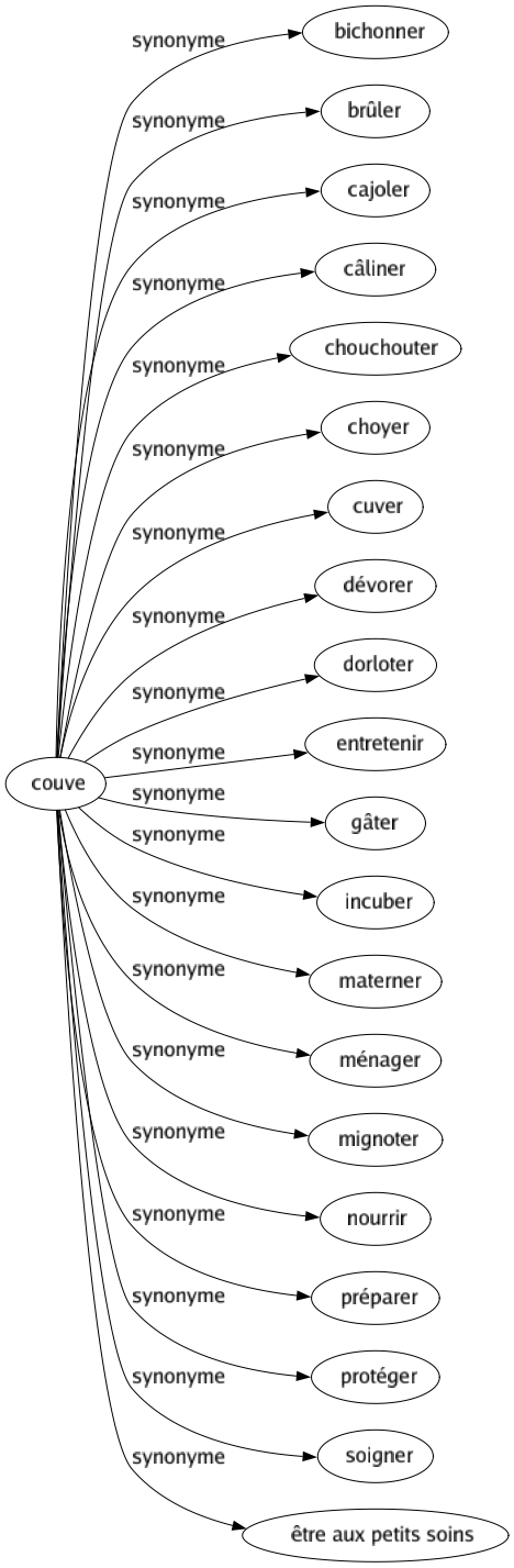 Synonyme de Couve : Bichonner Brûler Cajoler Câliner Chouchouter Choyer Cuver Dévorer Dorloter Entretenir Gâter Incuber Materner Ménager Mignoter Nourrir Préparer Protéger Soigner Être aux petits soins 