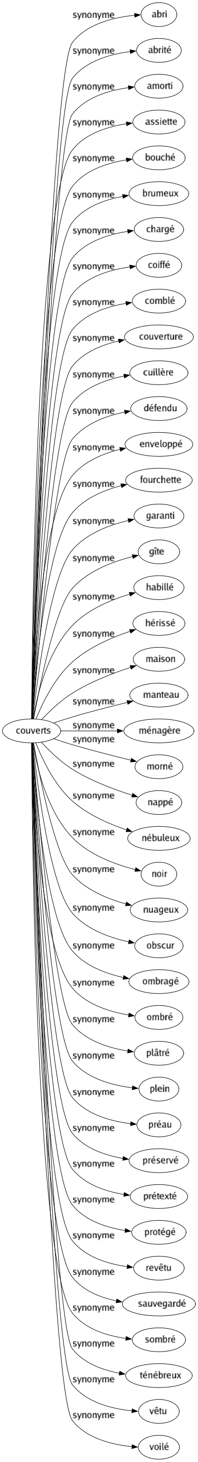 Synonyme de Couverts : Abri Abrité Amorti Assiette Bouché Brumeux Chargé Coiffé Comblé Couverture Cuillère Défendu Enveloppé Fourchette Garanti Gîte Habillé Hérissé Maison Manteau Ménagère Morné Nappé Nébuleux Noir Nuageux Obscur Ombragé Ombré Plâtré Plein Préau Préservé Prétexté Protégé Revêtu Sauvegardé Sombré Ténébreux Vêtu Voilé 
