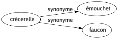 Synonyme de Crécerelle : Émouchet Faucon 