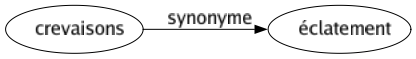 Synonyme de Crevaisons : Éclatement 