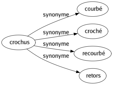 Synonyme de Crochus : Courbé Croché Recourbé Retors 