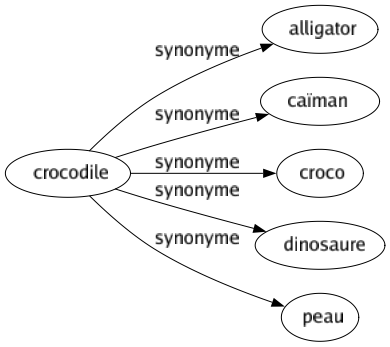 Synonyme de Crocodile : Alligator Caïman Croco Dinosaure Peau 