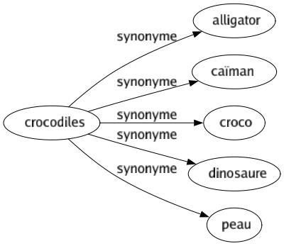 Synonyme de Crocodiles : Alligator Caïman Croco Dinosaure Peau 