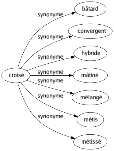 Synonyme de Croisé : Bâtard Convergent Hybride Mâtiné Mélangé Métis Métissé 
