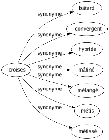 Synonyme de Croises : Bâtard Convergent Hybride Mâtiné Mélangé Métis Métissé 