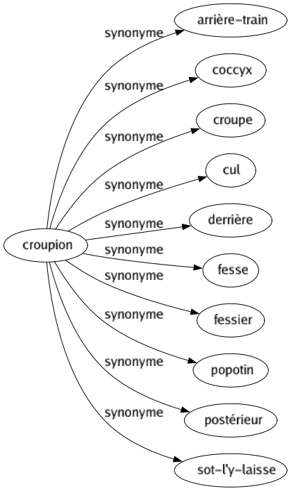 Synonyme de Croupion : Arrière-train Coccyx Croupe Cul Derrière Fesse Fessier Popotin Postérieur Sot-l'y-laisse 