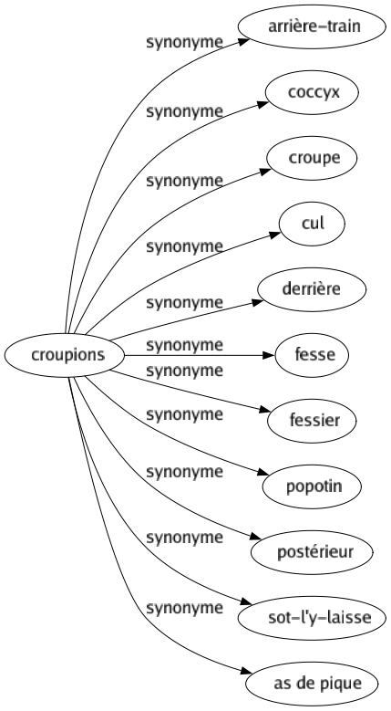 Synonyme de Croupions : Arrière-train Coccyx Croupe Cul Derrière Fesse Fessier Popotin Postérieur Sot-l'y-laisse As de pique 